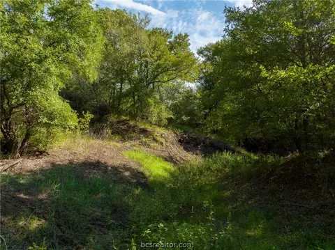 Tbd Leonard Road, Bryan, TX 77807 photo 21