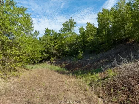 Tbd Leonard Road, Bryan, TX 77807 photo 22