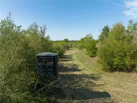 Tbd Leonard Road, Bryan, TX 77807 photo 31