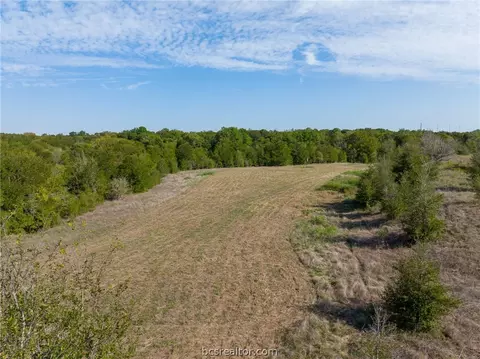Tbd Leonard Road, Bryan, TX 77807 photo 19
