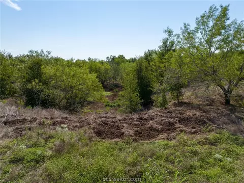 Tbd Leonard Road, Bryan, TX 77807 photo 44