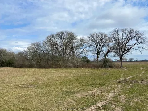 17 20 Acres Lot 12 Hwy 30, Bedias, TX 77831