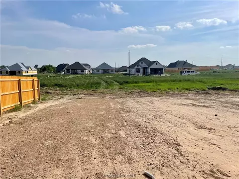 2907 Spector Dr, Bryan, TX 77808 photo 17