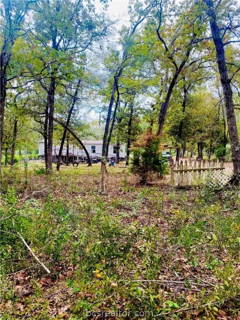 420 E Lakeview Dr, Trinity, TX 75862 photo 11