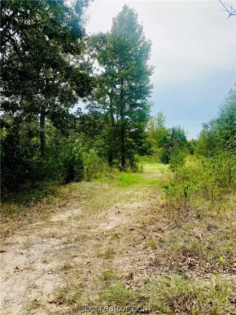 420 E Lakeview Dr, Trinity, TX 75862 photo 4