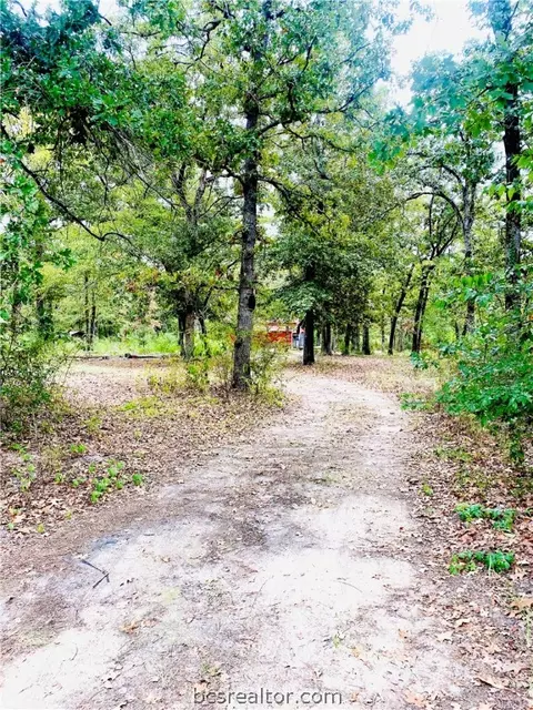 420 E Lakeview Dr, Trinity, TX 75862 photo 8