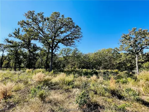 Tbd County Rd 4263, Marquez, TX 77865