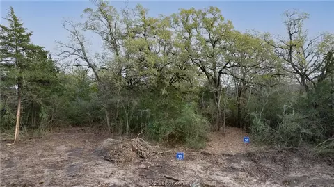 3005 Silverbell Ct, Bryan, TX 77807