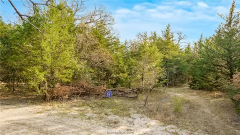 3021 Century Oak Dr, Bryan, TX 77807 photo 2