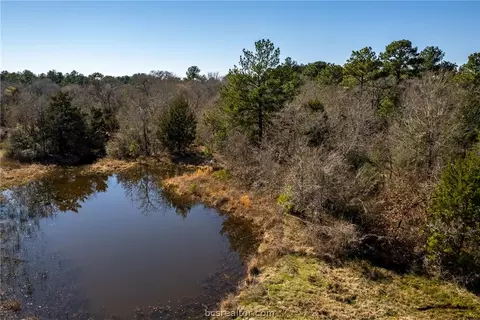 Tbd County Road 228, Bedias, TX 77831