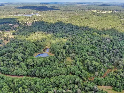 0089 County Road 302, Plantersville, TX 77363