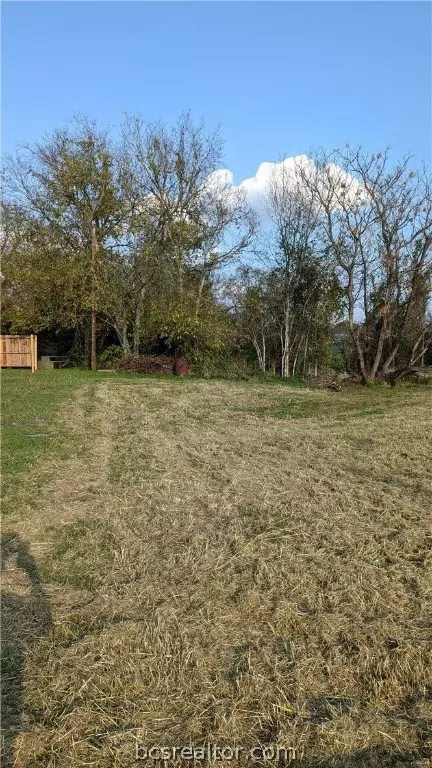 408 Blackshear St, Navasota, TX 77868