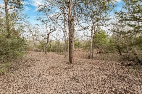 18246 18248 Old Bundick Rd, Bryan, TX 77859