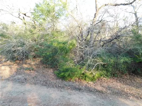 Tbd Blossom Lane, Hilltop Lakes, TX 77871