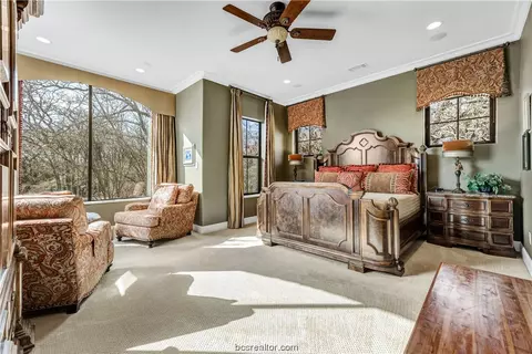 4311 Willowick Dr, Bryan, TX 77802 photo 22