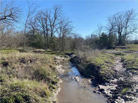 15 Acres Lot 10 Hwy 30, Bedias, TX 77831