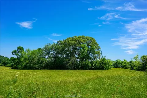 Lot 8 Anderson Ridge, Anderson, TX 77830