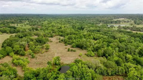 Tbd Hwy 36 N, Bellville, TX 77418