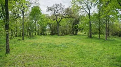6899 Harbert, Bryan, TX 77808 photo 4