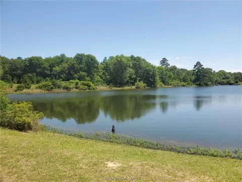 lot33 Owl Dr, Hempstead, TX 77445