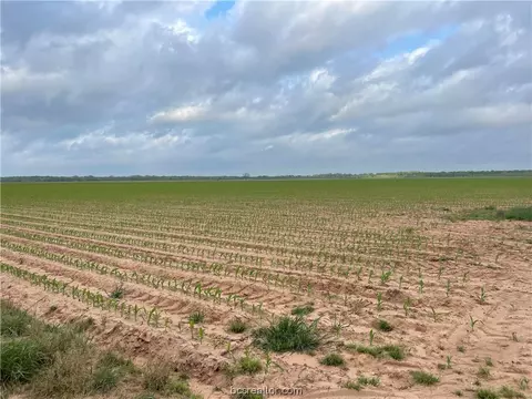 Tbd Mooring Ln, Bryan, TX 77807 photo 5