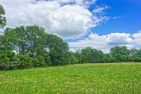 Tract 1 Cr 140, Bedias, TX 77831