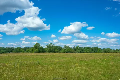 Tract 2 Cr 140, Bedias, TX 77831