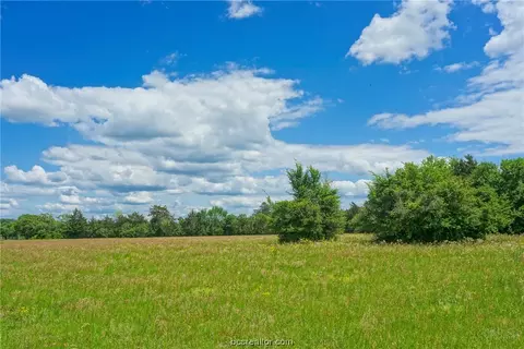 Tract 4 Cr 117, Bedias, TX 77831