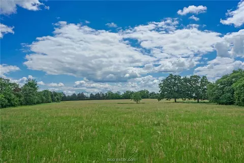 Tract 5 Cr 117, Bedias, TX 77831