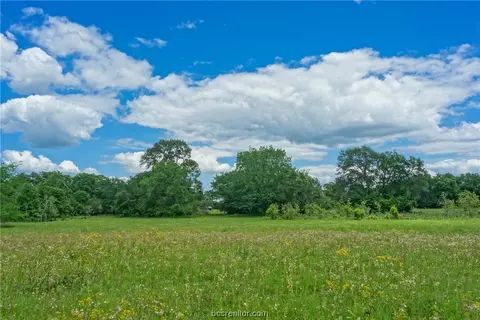 Tract 6 Cr 117, Bedias, TX 77831