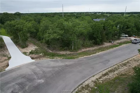 19357 Moonlit Hollow Loop, College Station, TX 77845