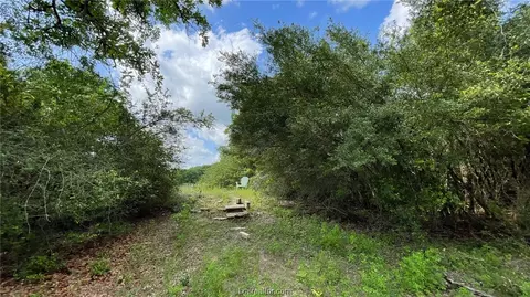 10233 Calhoun Rd, Bryan, TX 77808 photo 9