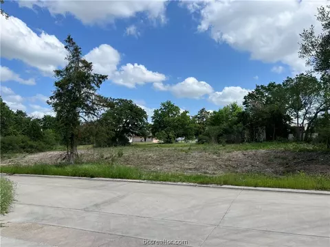 Tbd Brook Lane, Bryan, TX 77802 photo 8
