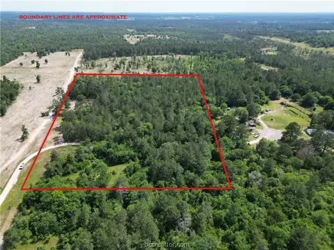 8 Acres Wesley Grove Rd E, Bedias, TX 77831