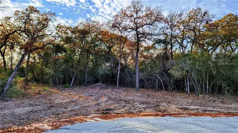 Lot 15 Berkshire Drive, Franklin, TX 77856