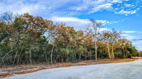 Lot 16 Berkshire Drive, Franklin, TX 77856