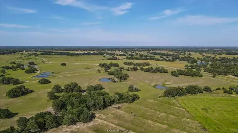 Tbd Fm 60, Lyons, TX 77879 photo 9