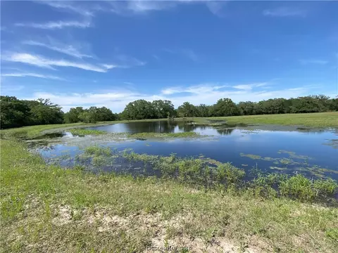 Tbd Fm 60, Lyons, TX 77879 photo 3