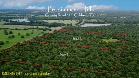 Tract 9 County Road 316, Caldwell, TX 77836