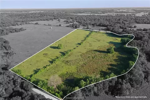 Tbd Bundic Road, North Zulch, TX 77872
