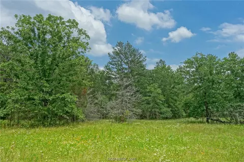 13 79 Acres Bluebird Ln, Bedias, TX 77831