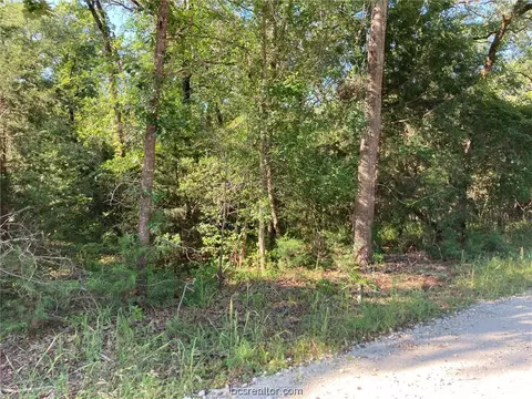 Tbd Woody Lane, Bryan, TX 77807