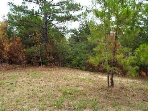 Lot 4 & 5 Dove Ln., Hempstead, TX 77445