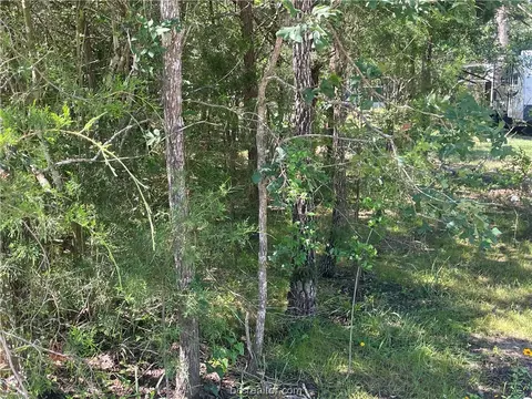 213 Overlook Loop, Somerville, TX 77879 photo 2