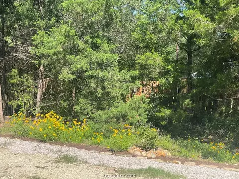 213 Overlook Loop, Somerville, TX 77879 photo 3