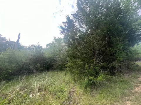 Tbd Apache Drive, Somerville, TX 77879 photo 3