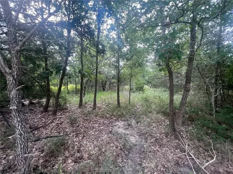 Tbd Apache Drive, Somerville, TX 77879 photo 5