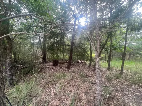 Tbd Apache Drive, Somerville, TX 77879 photo 4