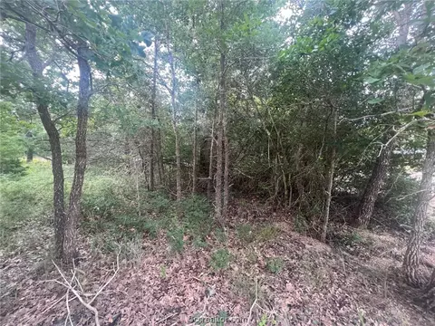 Tbd Apache Drive, Somerville, TX 77879