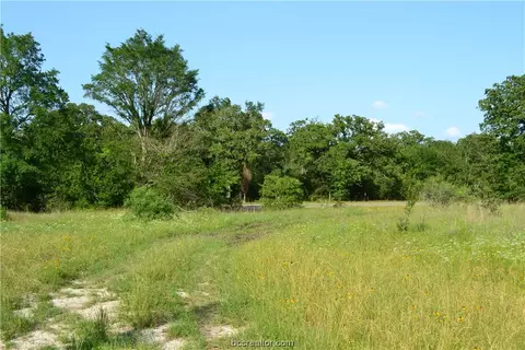 100 Live Oak Path, Somerville, TX 77879